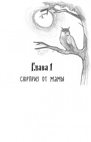 Проклятие старого рудника фото книги 16