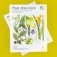 Plant Atlas 2020 фото книги маленькое 3
