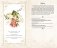 Тайный язык цветов фото книги маленькое 6