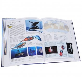 Океаны. Иллюстрированный атлас фото книги 2