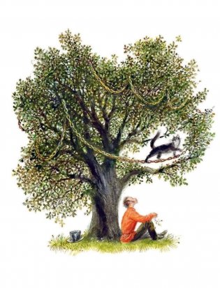 Сказки в рисунках Н. Устинова фото книги 7