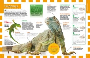 Лучшая энциклопедия для почемучек и любознашек фото книги 4