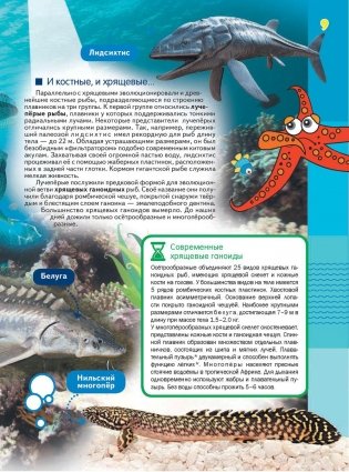 Эра динозавров фото книги 10