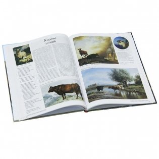 Самые известные животные. Иллюстрированная энциклопедия фото книги 2