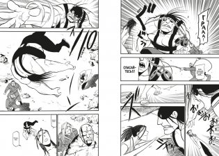 Стальной Алхимик. Книга 16 фото книги 4