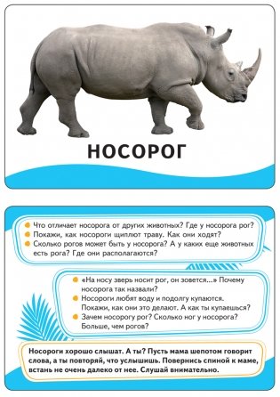 Развивающие карточки "Животные" фото книги 2