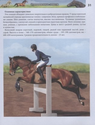Энциклопедия. Лошади фото книги 5