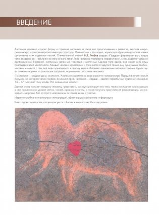 Анатомия и физиология. Большой популярный атлас фото книги 7