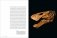 Dinosaurs фото книги маленькое 14