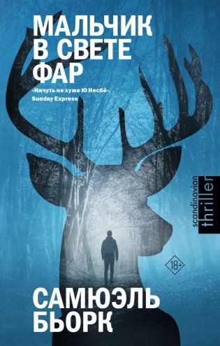 Мальчик в свете фар фото книги