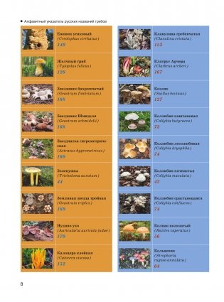 Большая энциклопедия. Грибы. Съедобные и несъедобные. Собираем и готовим. фото книги 9