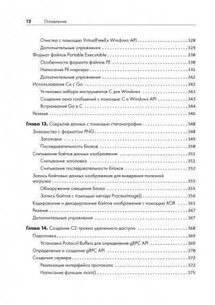 Black Hat Go: Программирование для хакеров и пентестеров фото книги 8