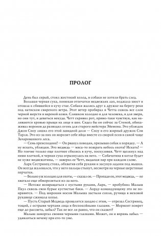 Буря мечей. Пир стервятников фото книги 16