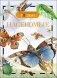 Насекомые фото книги маленькое 2