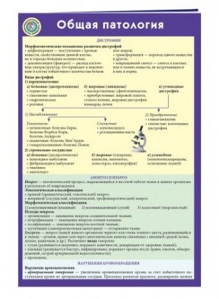 Общая патология фото книги