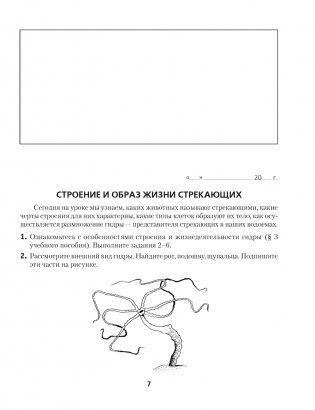 Рабочая тетрадь по биологии для 8 класса фото книги 5