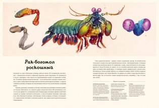 Океанариум фото книги 8