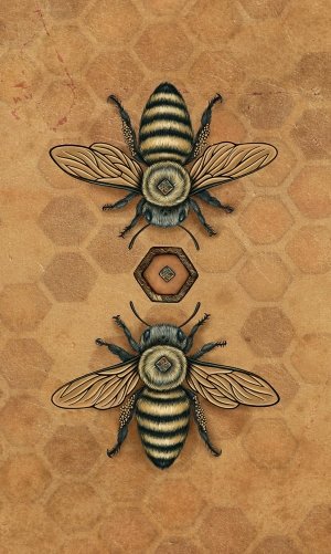 Bee Tarot фото книги 2