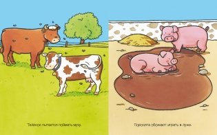 На ферме (с наклейками) фото книги 4