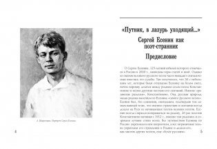 Радуница. Избранная лирика фото книги 3