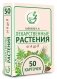 Лекарственные растения от А до Я. 50 карточек фото книги маленькое 3