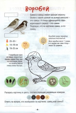 Юные орнитологи. 2 класс фото книги 5