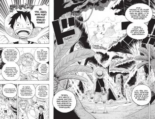 One Piece. Большой куш. Книга 21. На заре приключений : Новый Свет фото книги 4