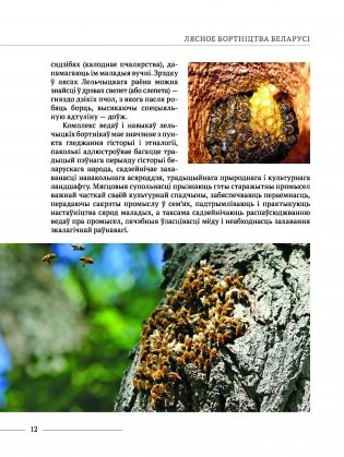 Лясное бортнiцтва Беларусi фото книги 4