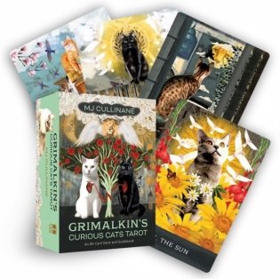 Grimalkin`s Curious Cats Tarot фото книги