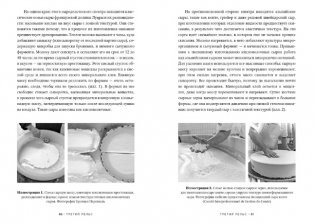 Заново изобретая колесо: молоко, микробы и битва за настоящий сыр фото книги 3