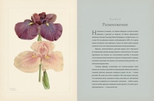 Ботаника для садоводов фото книги 6