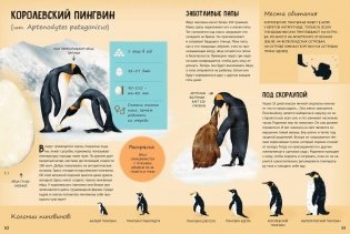 Кто появляется на свет из яйца? фото книги 6