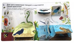 40 окошек. Как говорят животные фото книги 4