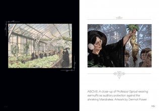 The Art of Harry Potter: Mini Book of Magical Places фото книги 6