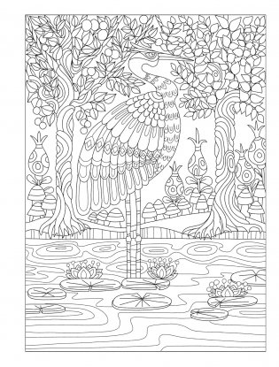 Creative Haven Fanciful Birds coloring book фото книги 10