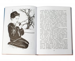 Я - сестра Тоторо фото книги 2