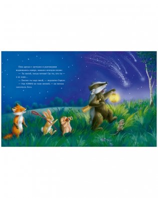 Самая звёздная ночь фото книги 10