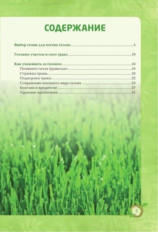 Секреты идеального газона фото книги 4