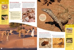 Планета Земля. Факты и фотографии фото книги 7