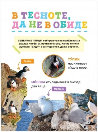 Животные. Первая энциклопедия малыша фото книги 4