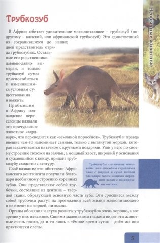 Энциклопедия. В мире знаний. Необычные животные фото книги 4