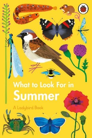 What to Look For in Summer фото книги