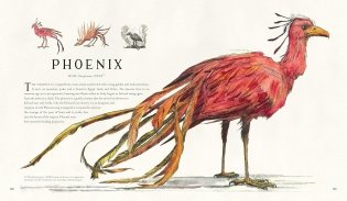Fantastic Beasts and Where to Find Them фото книги 6