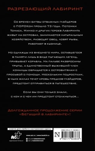 Разрезающий лабиринт фото книги 6