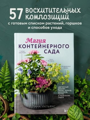 Магия контейнерного сада. Цветочный дизайн террас, веранд, балконов, патио и маленьких садов фото книги 4