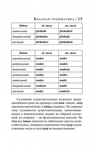 Чешский язык. 4-в-1: грамматика, разговорник, чешско-русский словарь, русско-чешский словарь фото книги 15