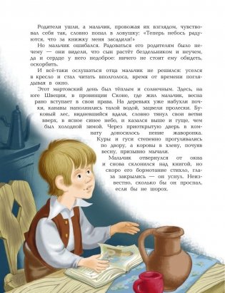 Путешествие Нильса с дикими гусями фото книги 4