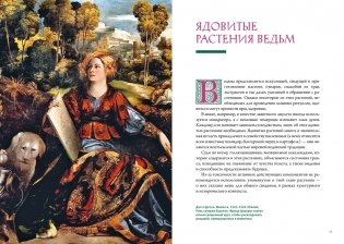Магия трав и волшебный бестиарий. Сборный комплект из 2-х книг с шоппером фото книги 12