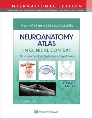 Neuroanatomy atlas in clinical context фото книги