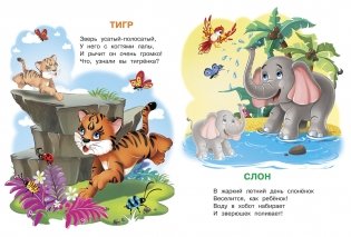 Животные зоопарка. Играем и учимся с наклейками фото книги 2